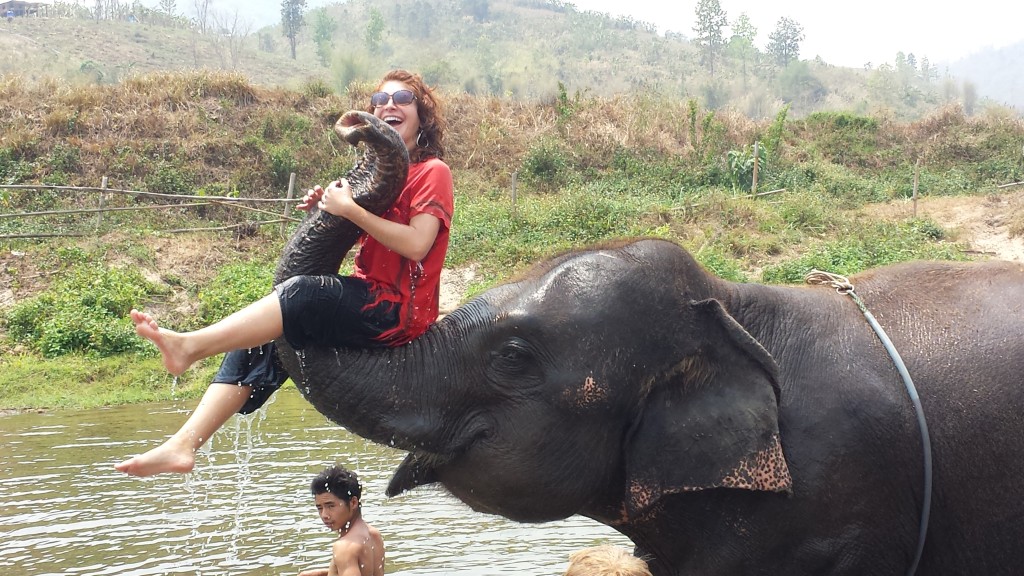 Elephant Camp Chiang Mai