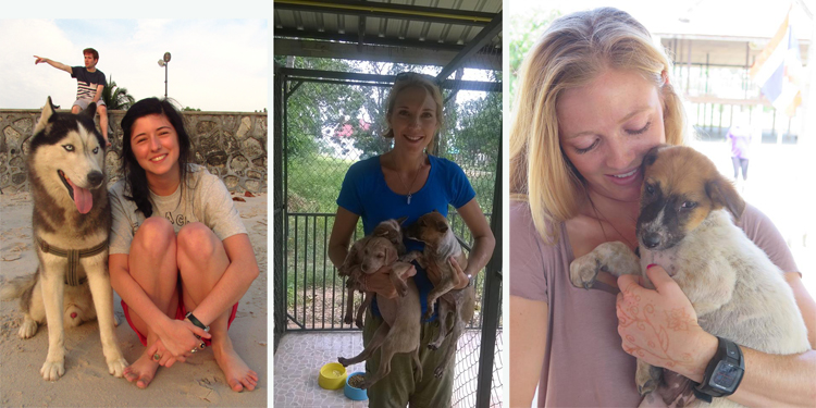 volunteers-with-many-puppies