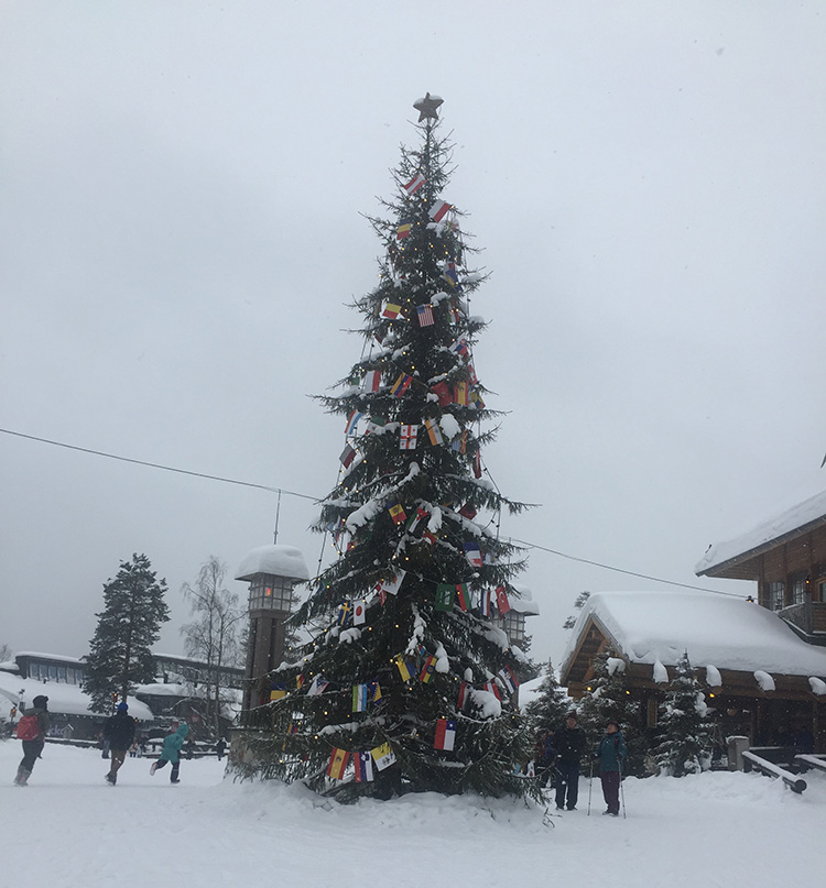 finland-christmas-tree-lapland