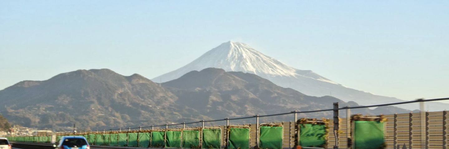 Japanese New Year in Shizuoka (Mt. Fuji and dogs)