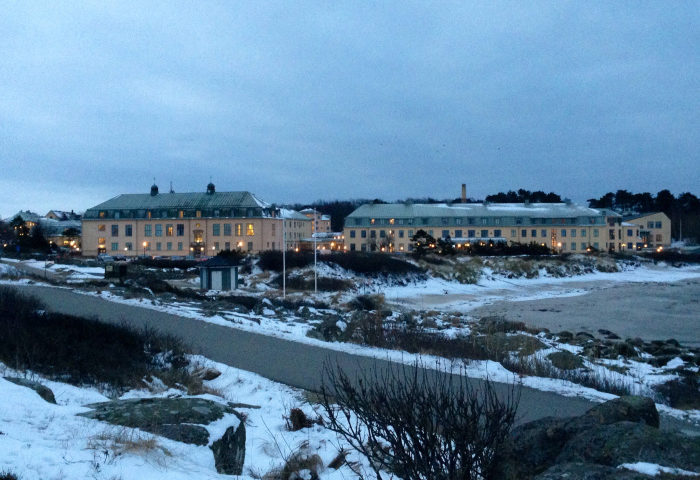 Pictures from my Morning Walk in Sweden