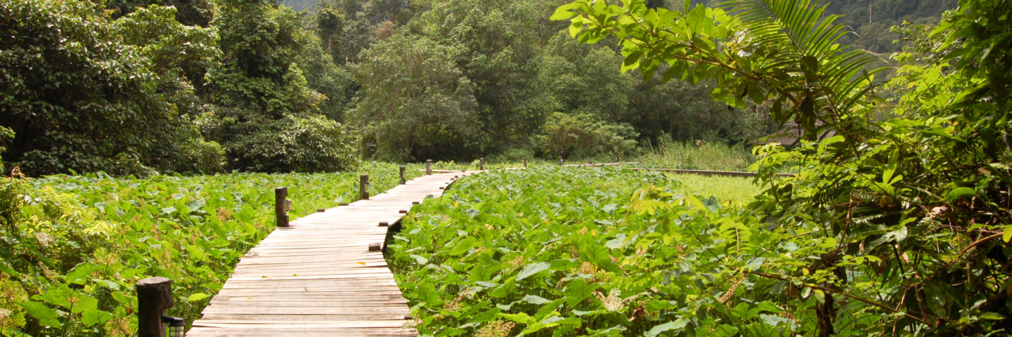 Exhaustion of Execursions