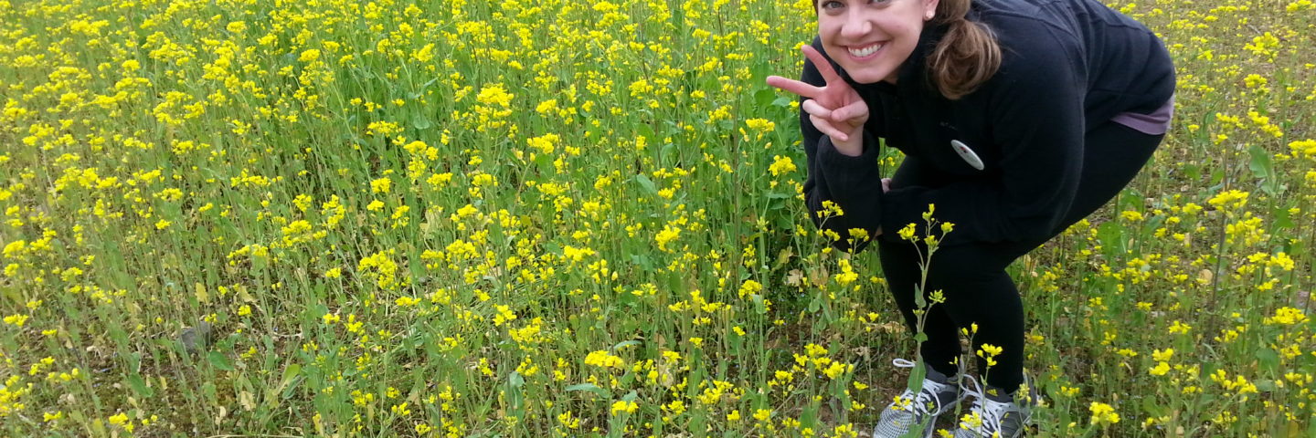 Adopted and Adapting in Korea