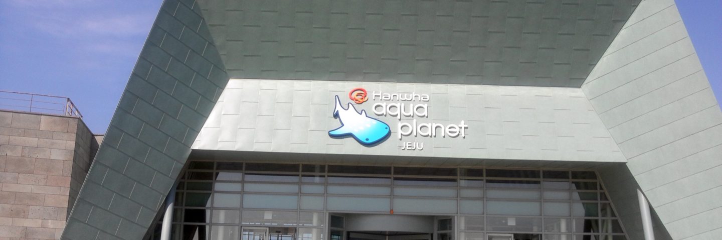 Vacation in Jeju Day 5 & 6: Aqua Planet Jeju, DOMINOES PIZZA and getting lost in the Busan Subway