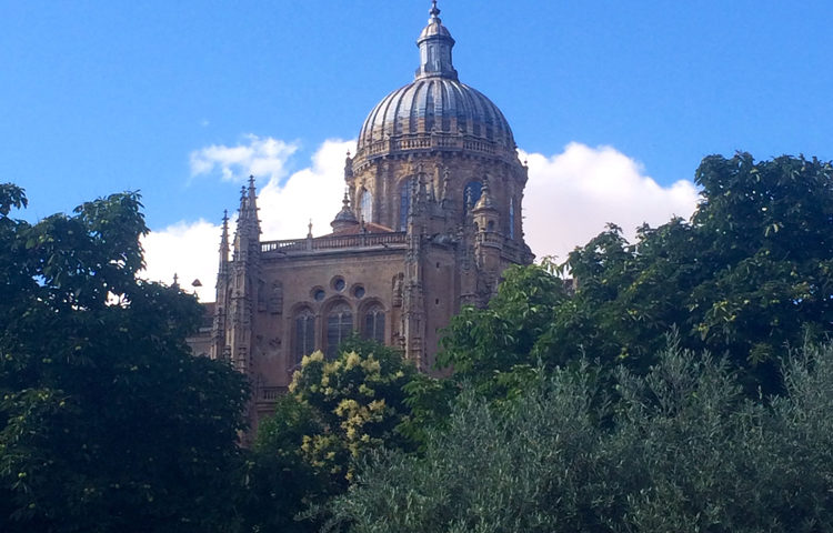 Spanish History Lessons in Salamanca