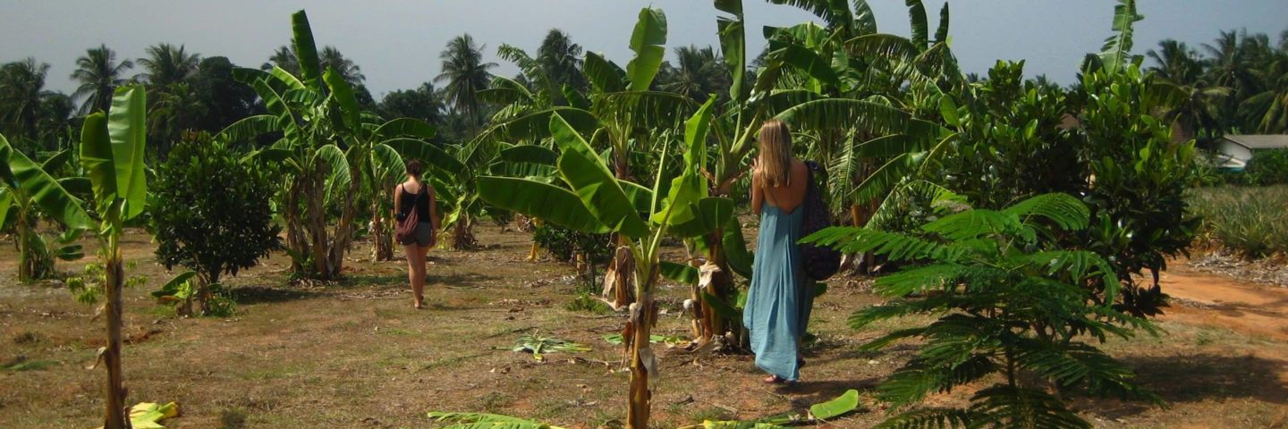 “Where is the trash?” and other questions