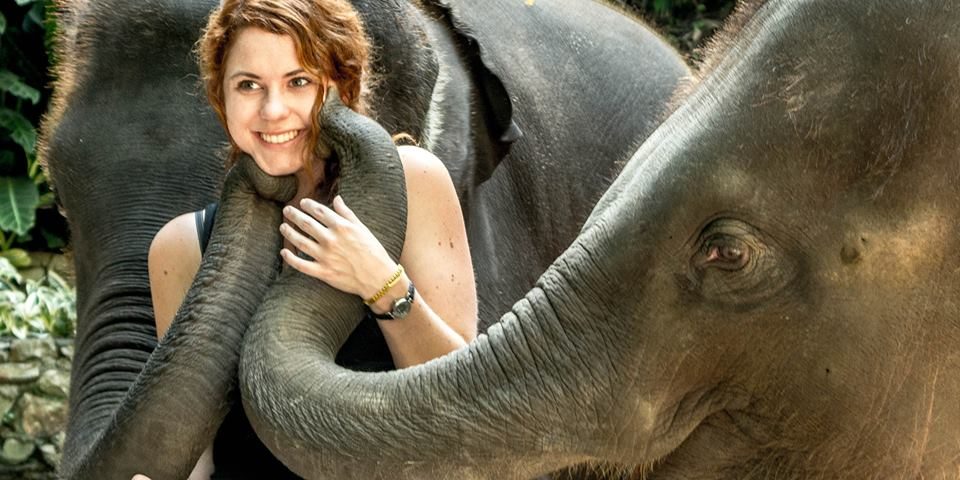 Of Art and Elephants