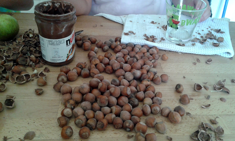 Enjoying the Harvest Season in France