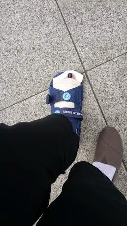 Fall In a Foreign Land