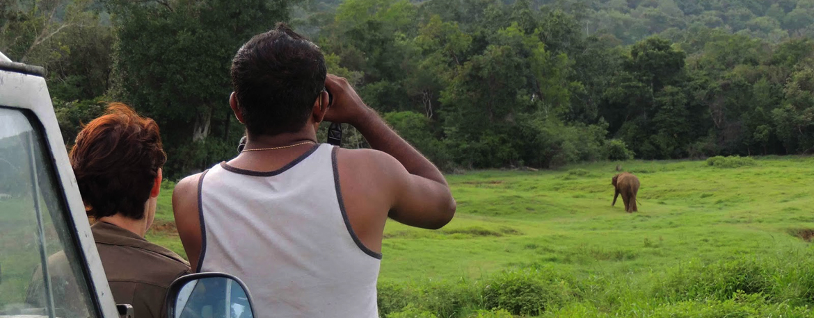 Photo Friday: Top 10 Reasons to Volunteer in Sri Lanka