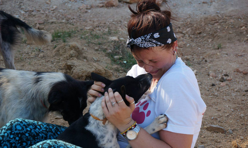volunteer-in-thailand-with-dogs