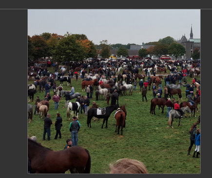 Nothing Quite Like Ballinasloe