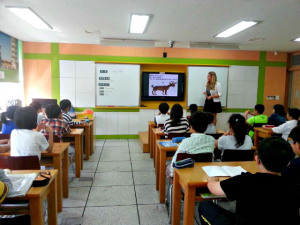 Life as an EFL Teacher