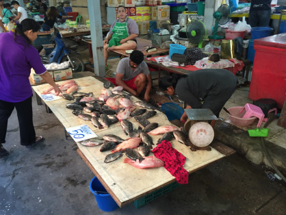 Lessons I’m Learning in Bang Pa In, Thailand