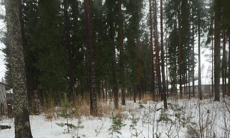 School in Finland, Skating and Exploring Helsinki