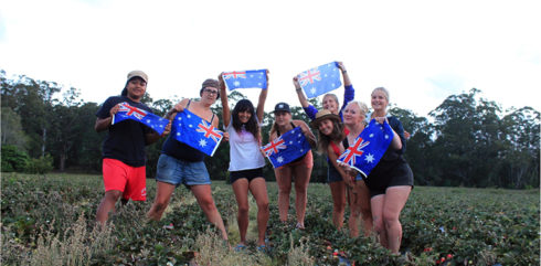 Work & Travel in Australia