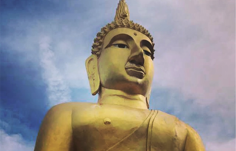 Teacher Tracy Has Been Taught