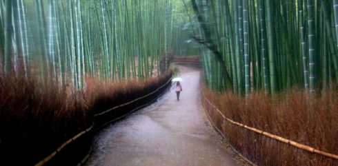 High School Abroad/Gap Year Japan